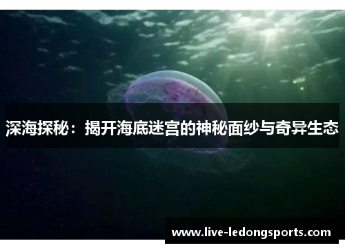 深海探秘：揭开海底迷宫的神秘面纱与奇异生态